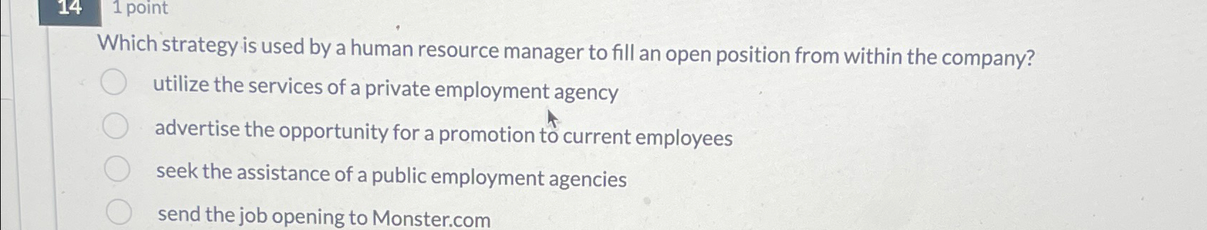  14 point Which strategy is used by a human resource manager