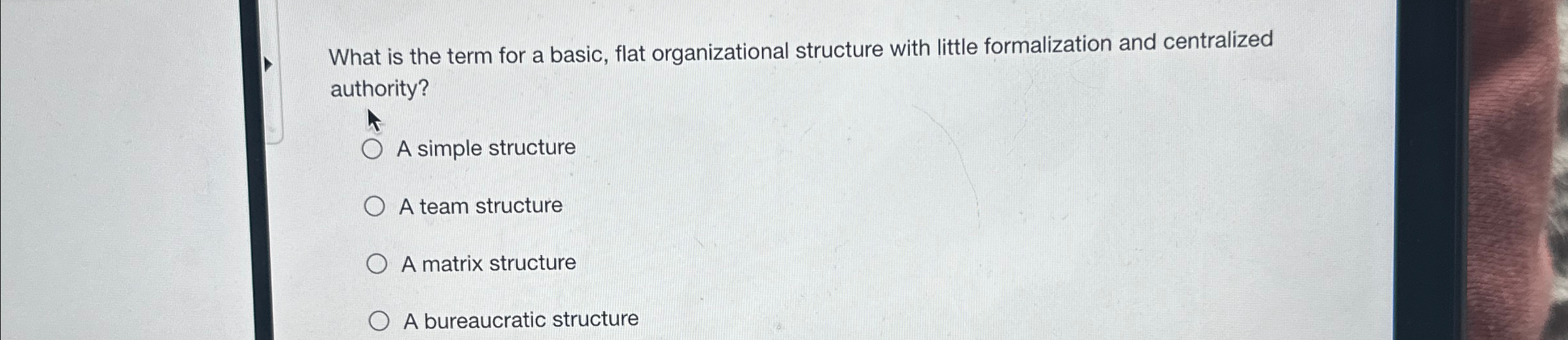  What is the term for a basic, flat organizational structure with