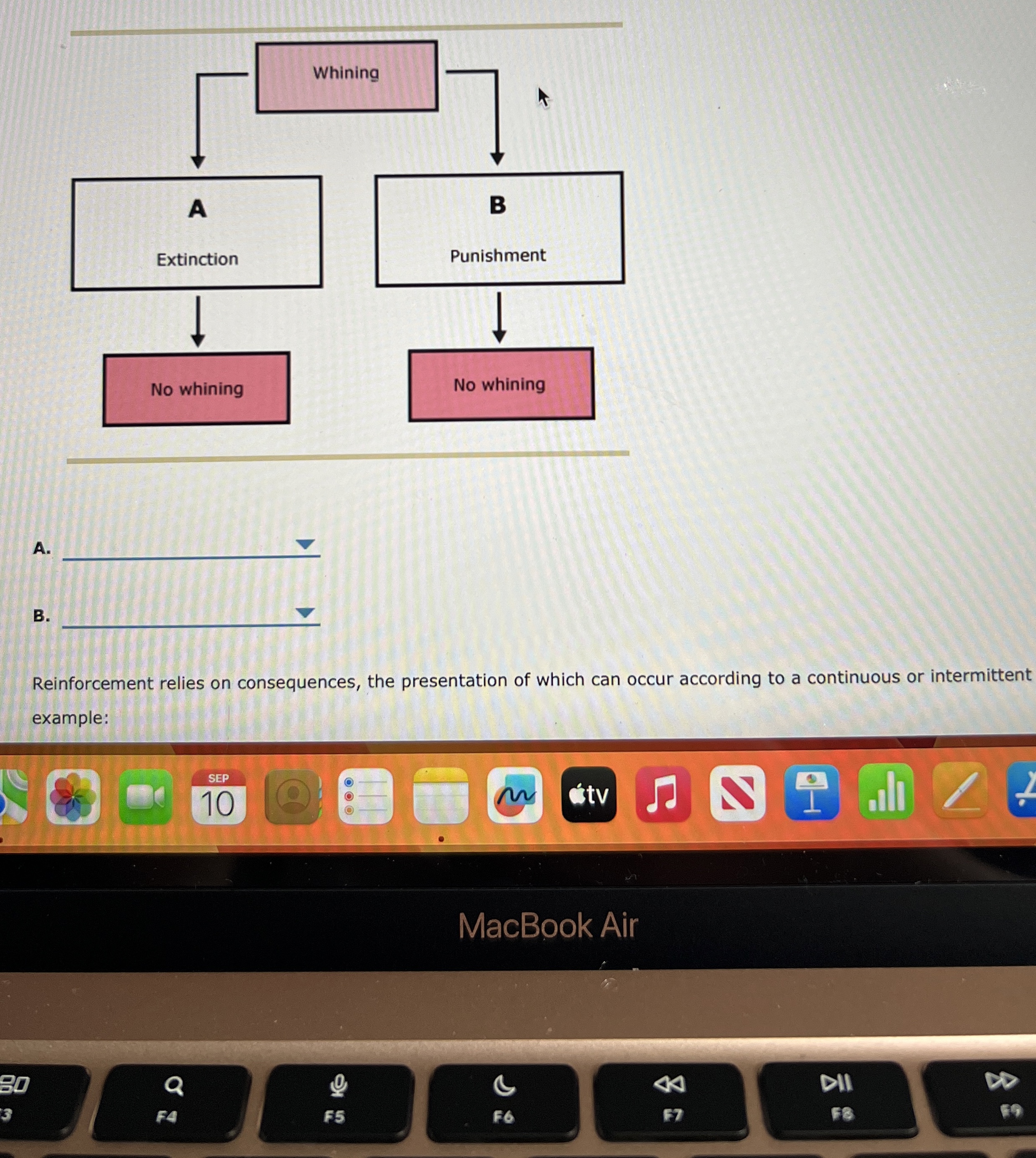  A. B. Reinforcement relies on consequences, the presentation of which can