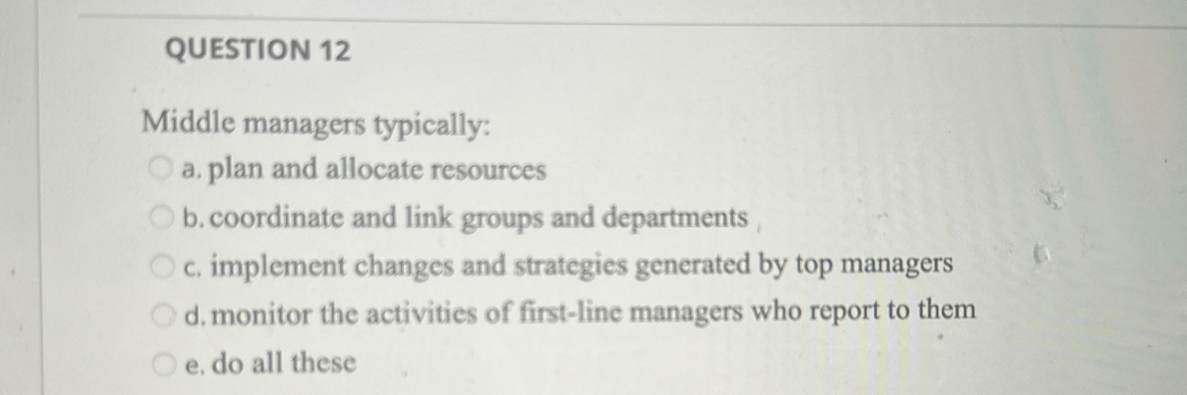  QUESTION 12 Middle managers typically: a. plan and allocate resources b.