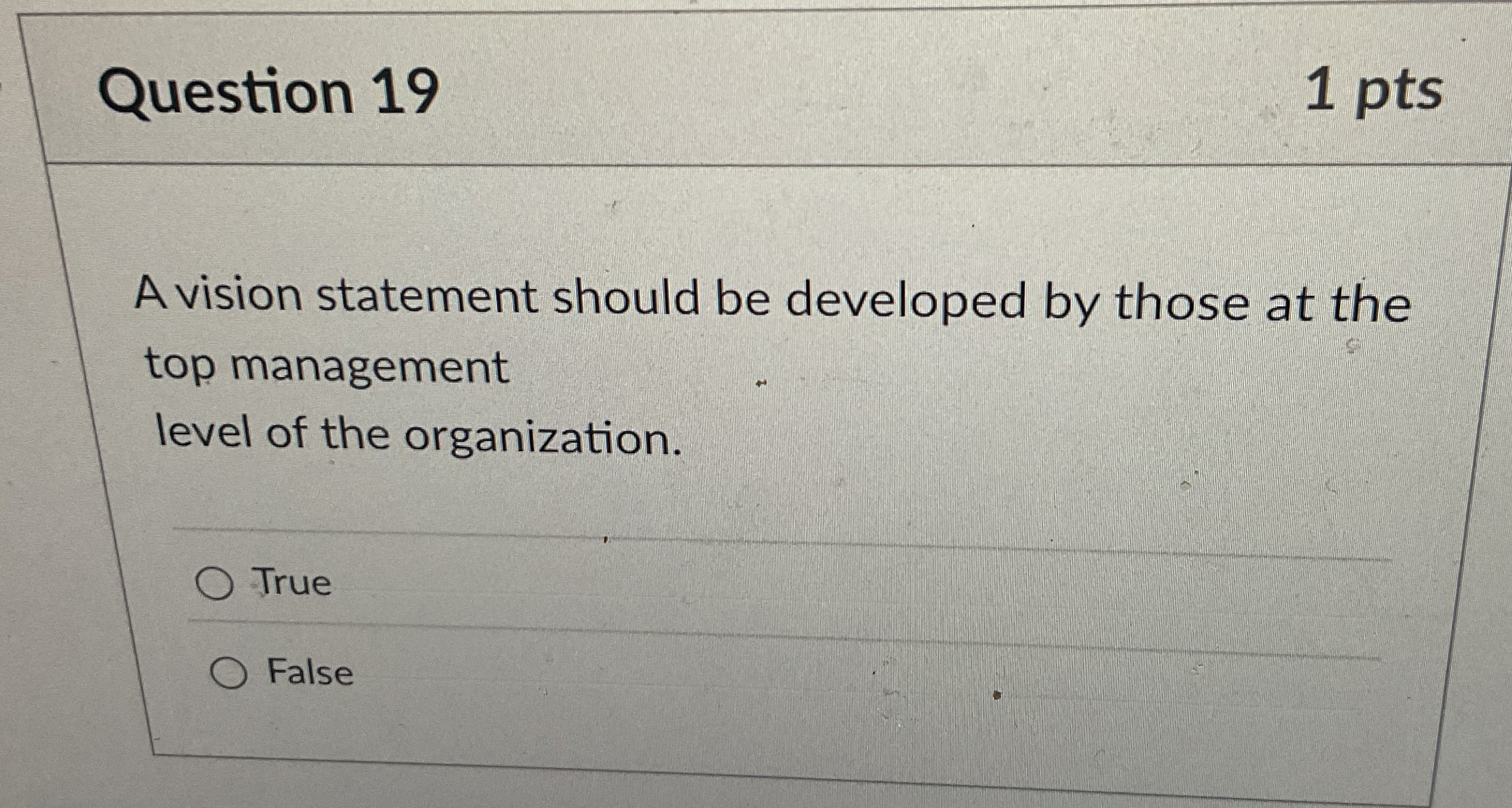  Question 19 A vision statement should be developed by those at