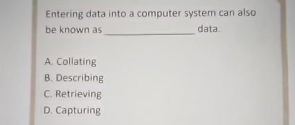  Entering data into a computer system can also be known as