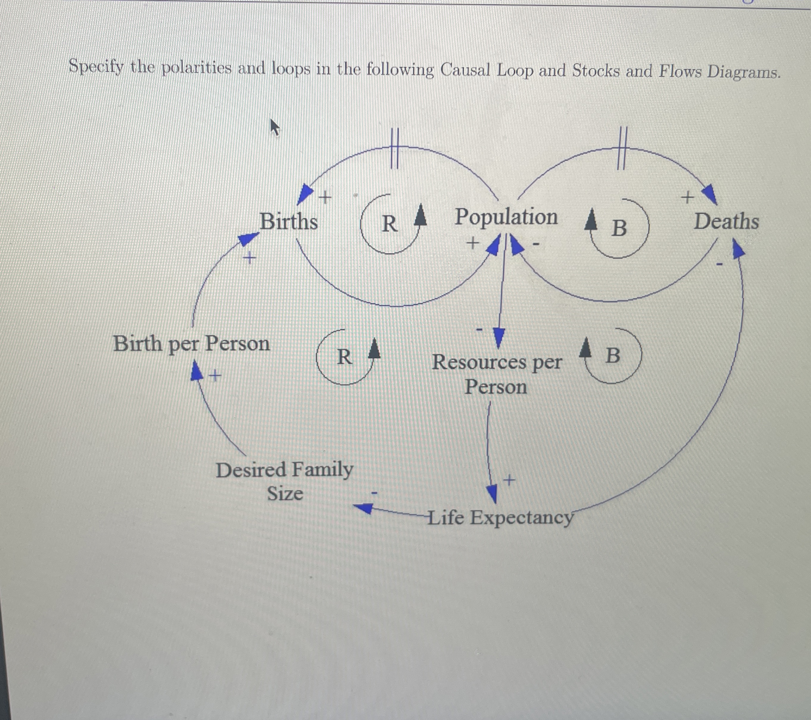  Create a flow chart Specify the polarities and loops in the