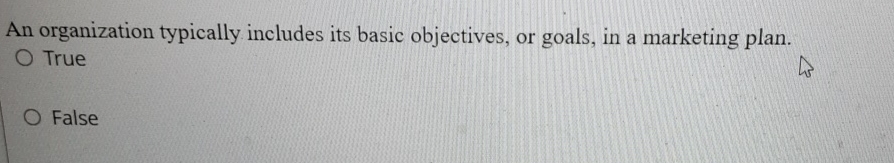  An organization typically includes its basic objectives, or goals, in a