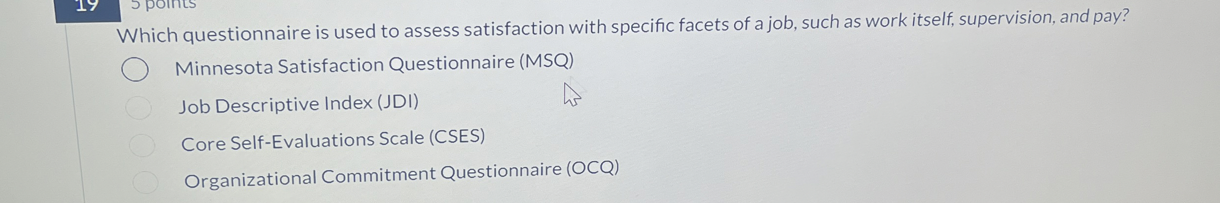  Which questionnaire is used to assess satisfaction with specific facets of
