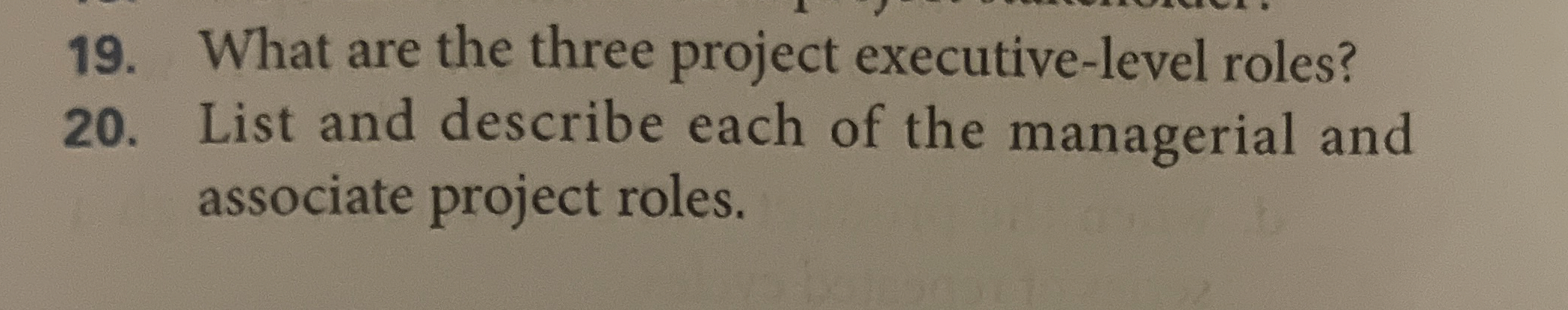  What are the three project executive-level roles? List and describe each