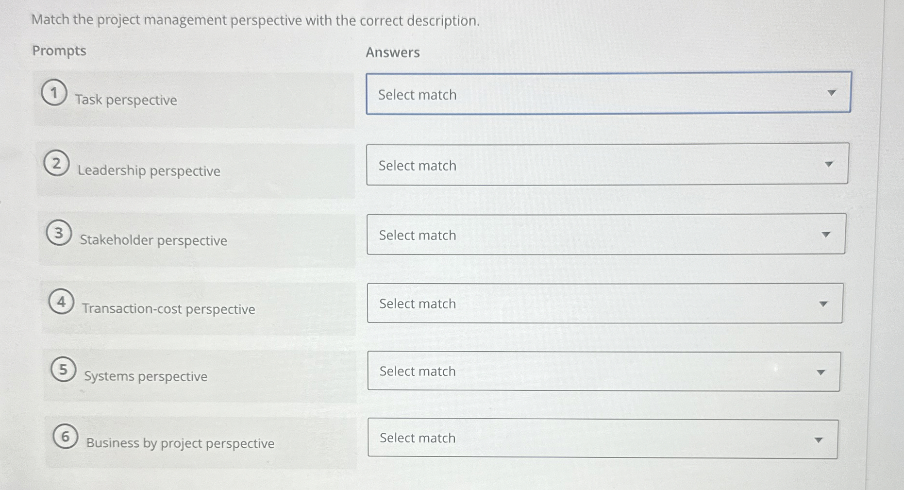  Match the project management perspective with the correct description. Prompts Task
