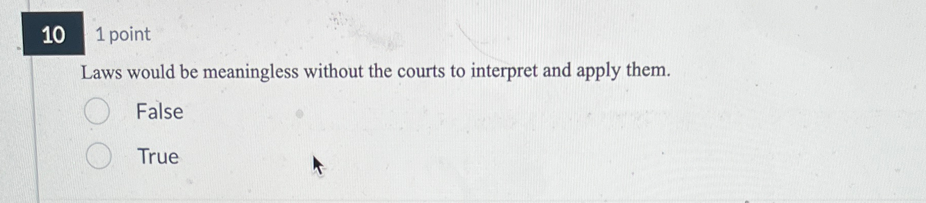  10 1 point Laws would be meaningless without the courts to