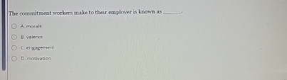  The commitment workers make to their emploner is known as q,