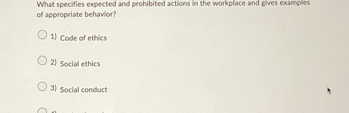  What specifies expected and prohibited actions in the workplace and gives