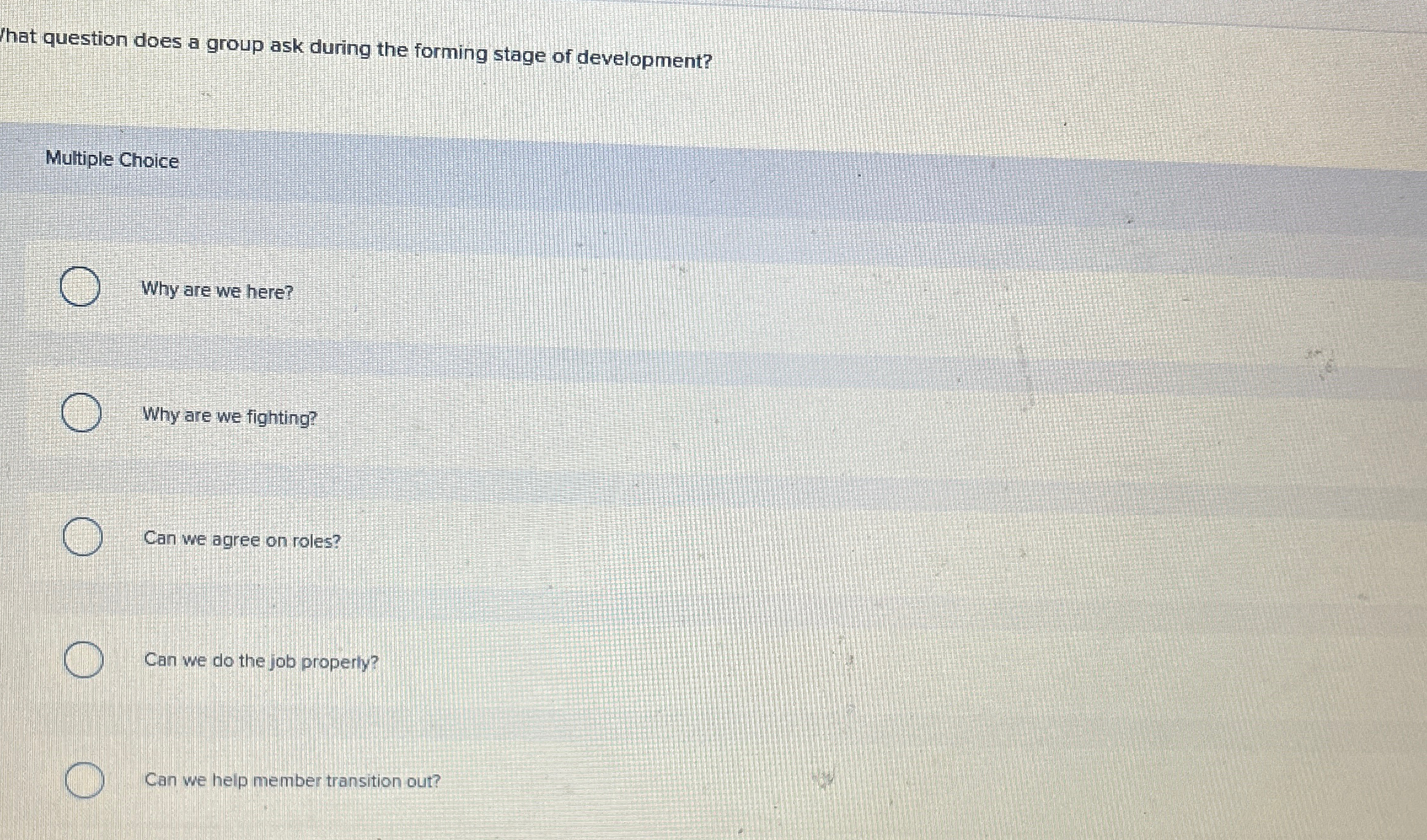  hat question does a group ask during the forming stage of