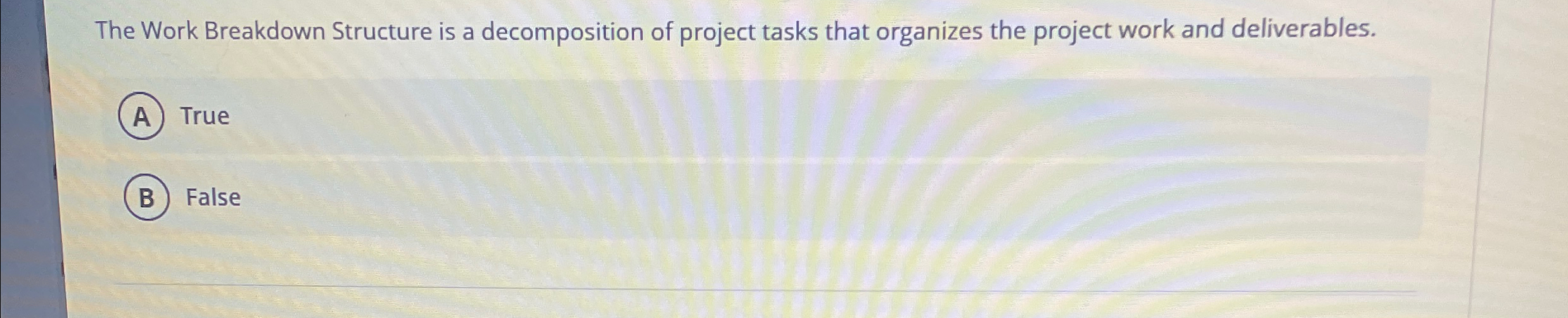  The Work Breakdown Structure is a decomposition of project tasks that