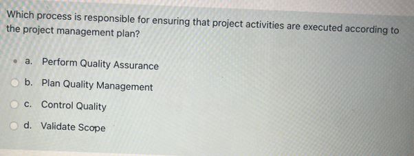  Which process is responsible for ensuring that project activities are executed