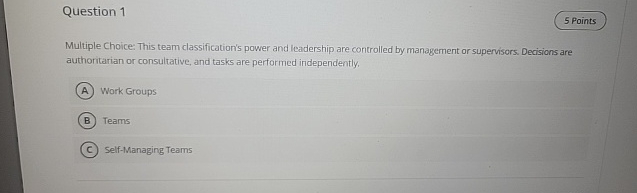  Question 1 Multiple Choice: This team classification's power and leadership are