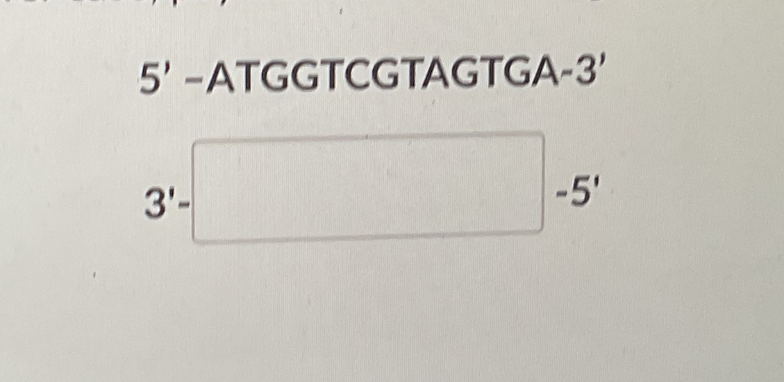  5'-ATGGTCGTAGTGA-3' 3'--5' 
