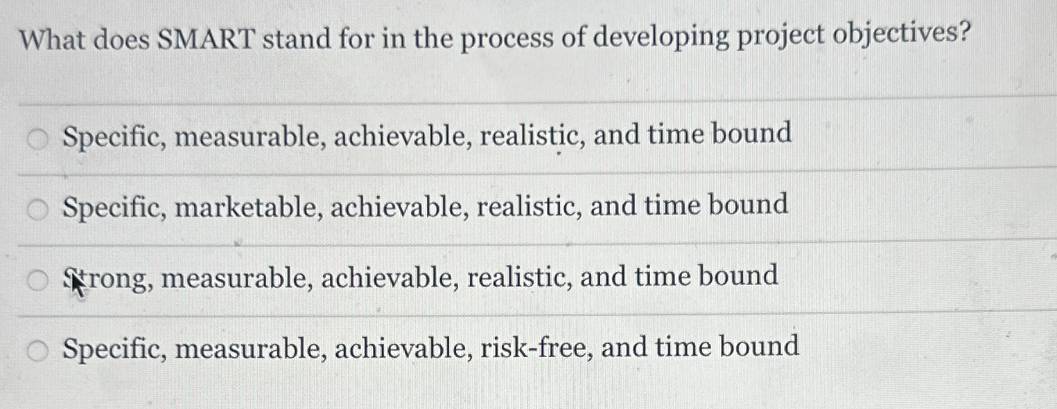  What does SMART stand for in the process of developing project