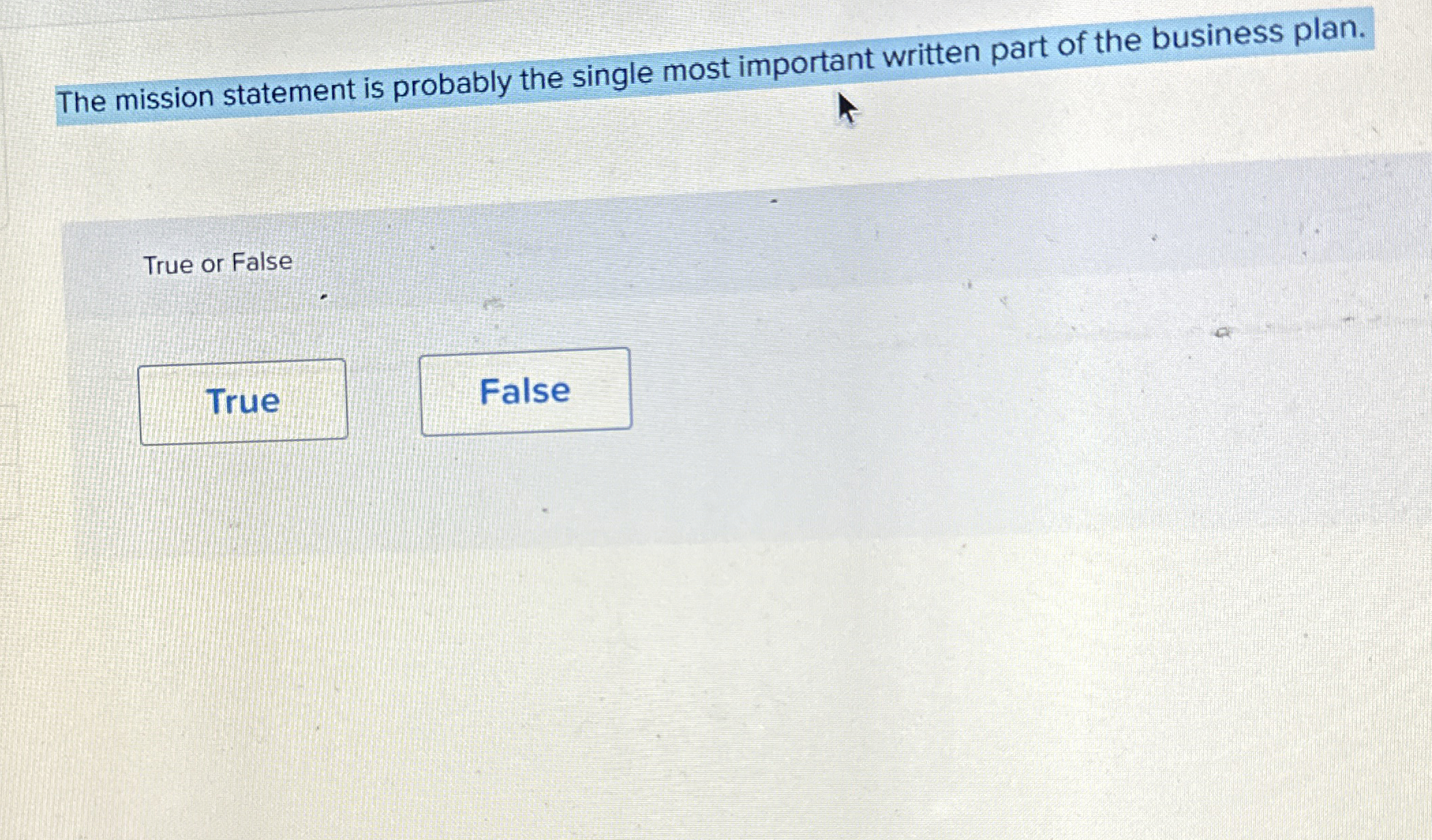  The mission statement is probably the single most important written part