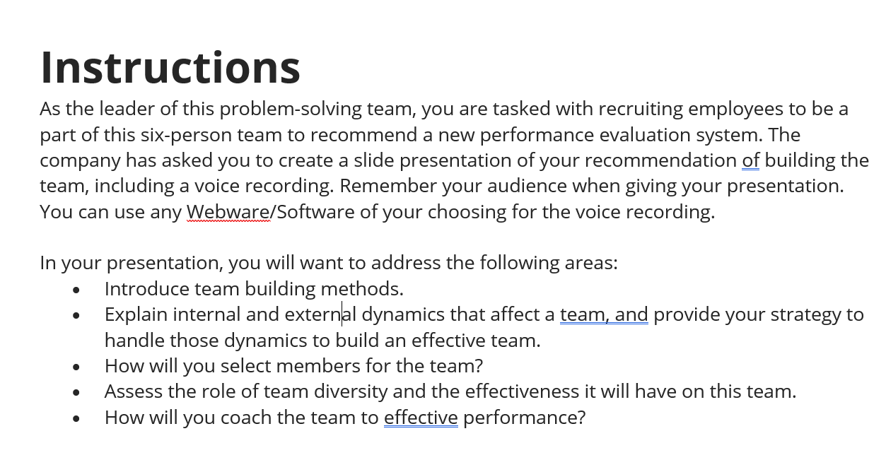 Instructions As the leader of this problem-solving team, you are tasked