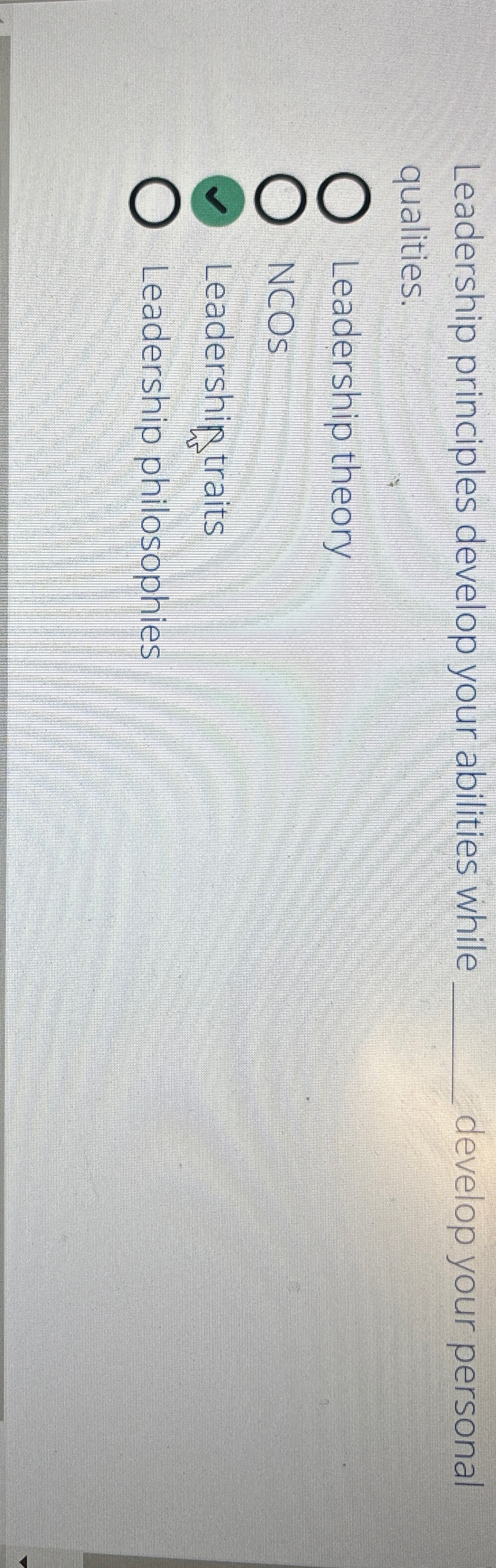  Leadership principles develop your abilities while q, develop your personal qualities.