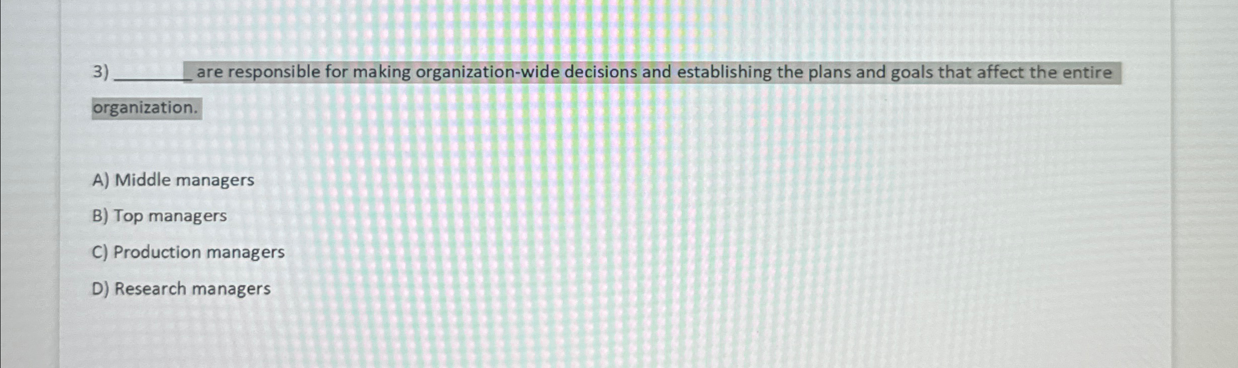 q, are responsible for making organization-wide decisions and establishing the plans