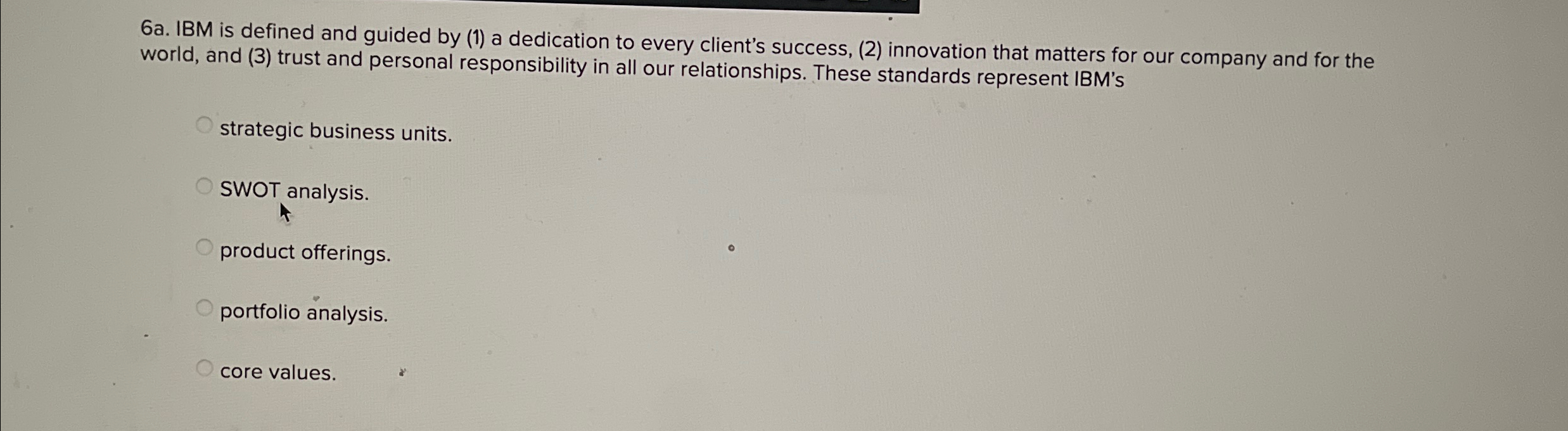  6a. IBM is defined and guided by (1) a dedication to