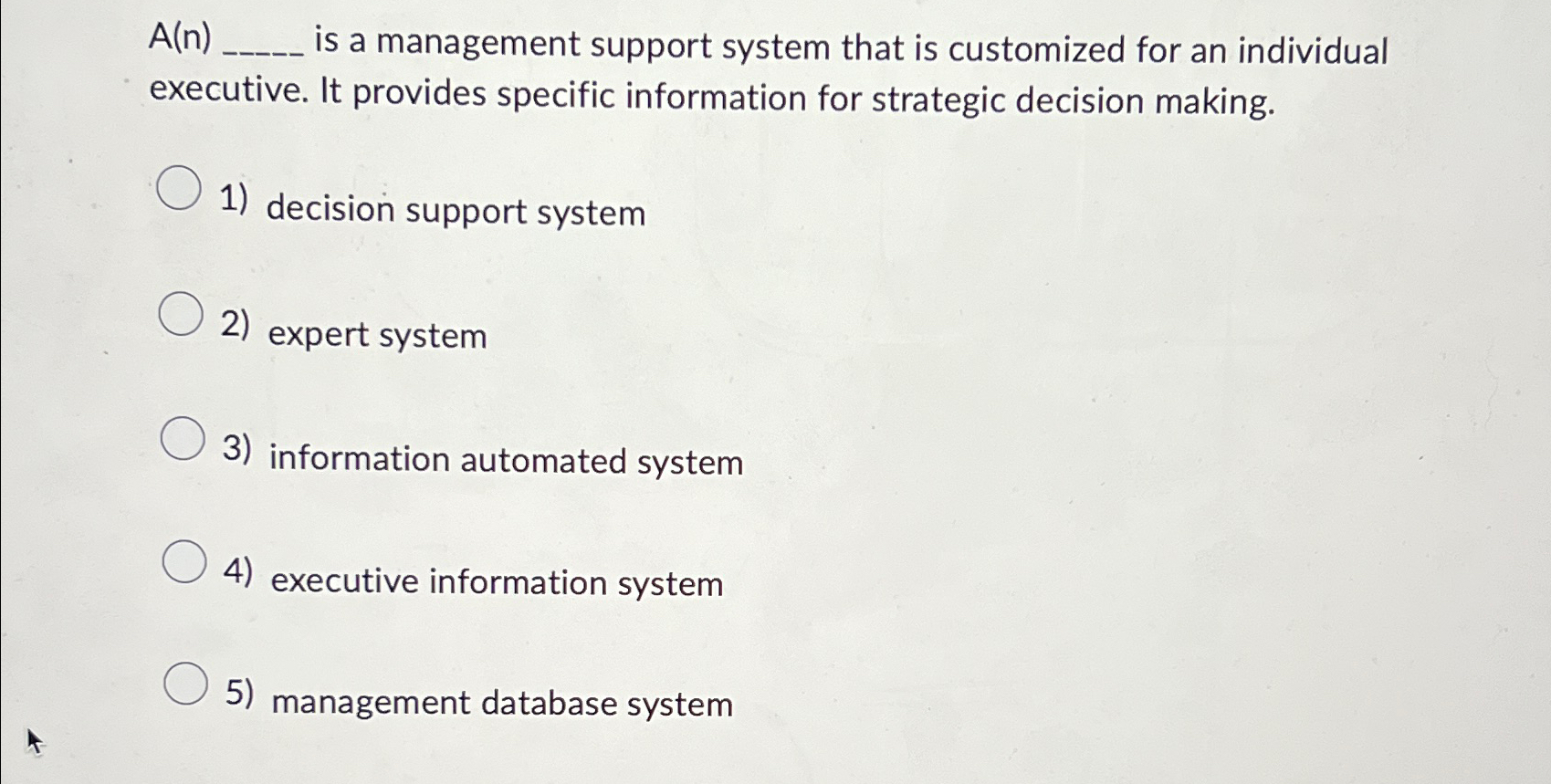  A(n)q, is a management support system that is customized for an