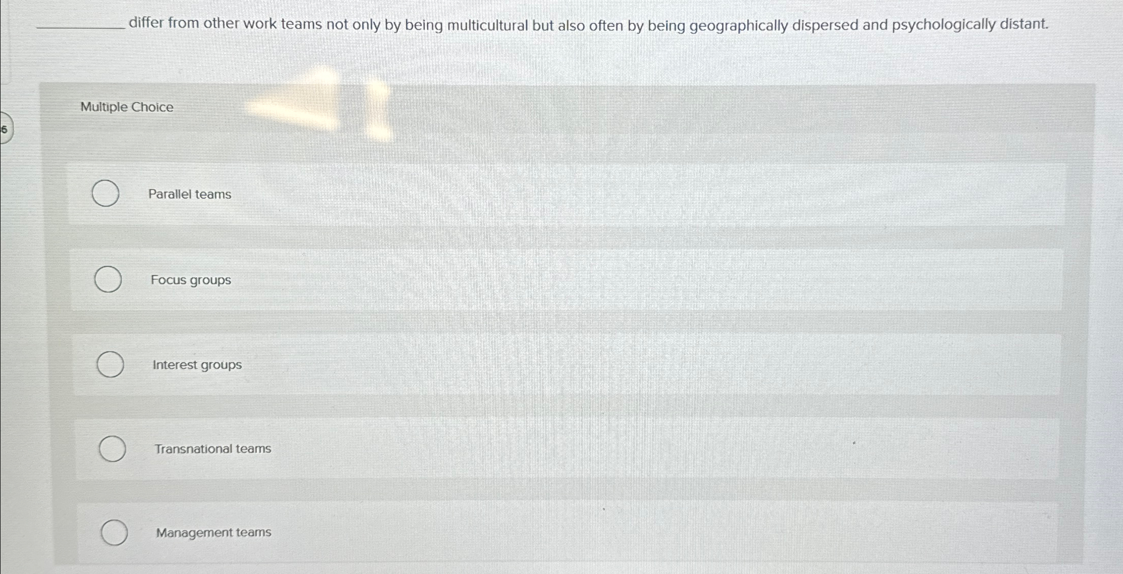  differ from other work teams not only by being multicultural but