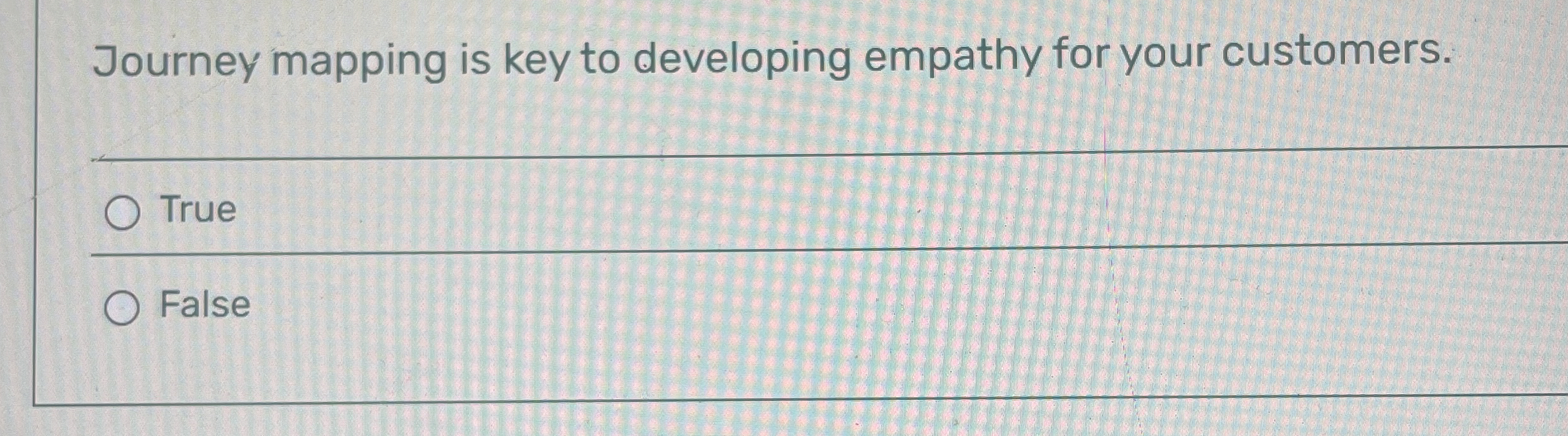  Journey mapping is key to developing empathy for your customers. True