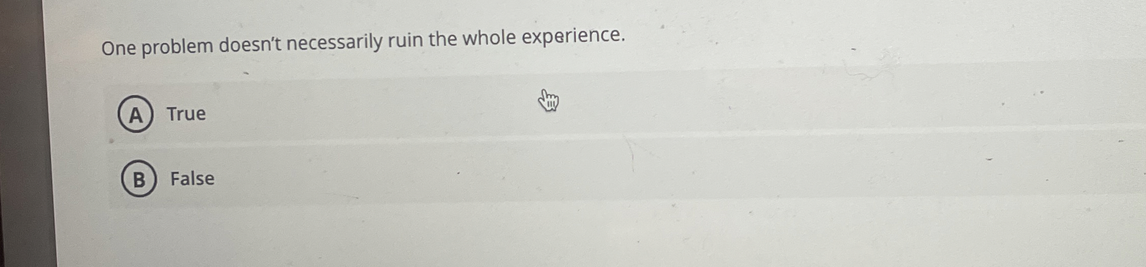  One problem doesn't necessarily ruin the whole experience. True False 