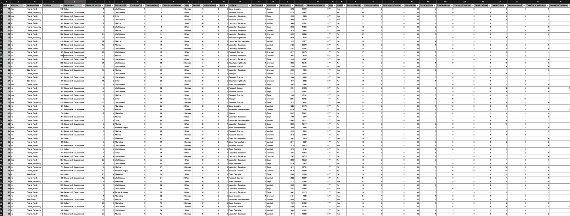  You are tasked by your CEO with figuring out how to