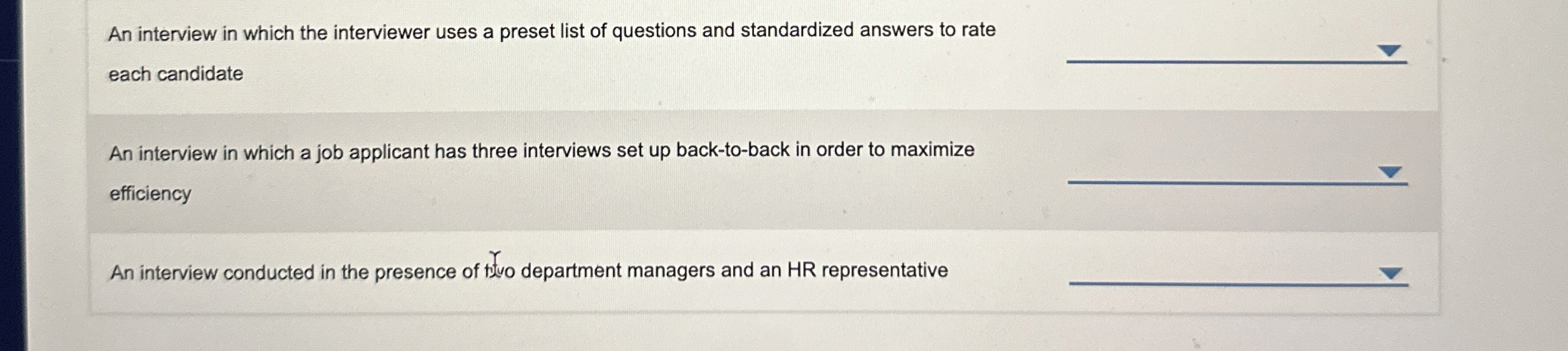  An interview in which the interviewer uses a preset list of