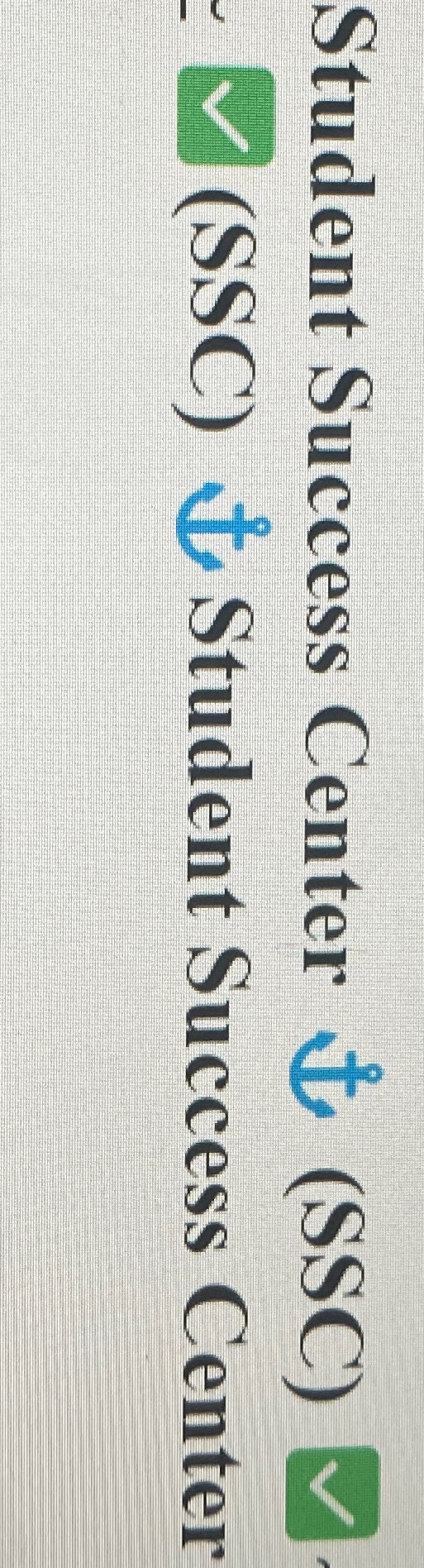 image text in transcribed