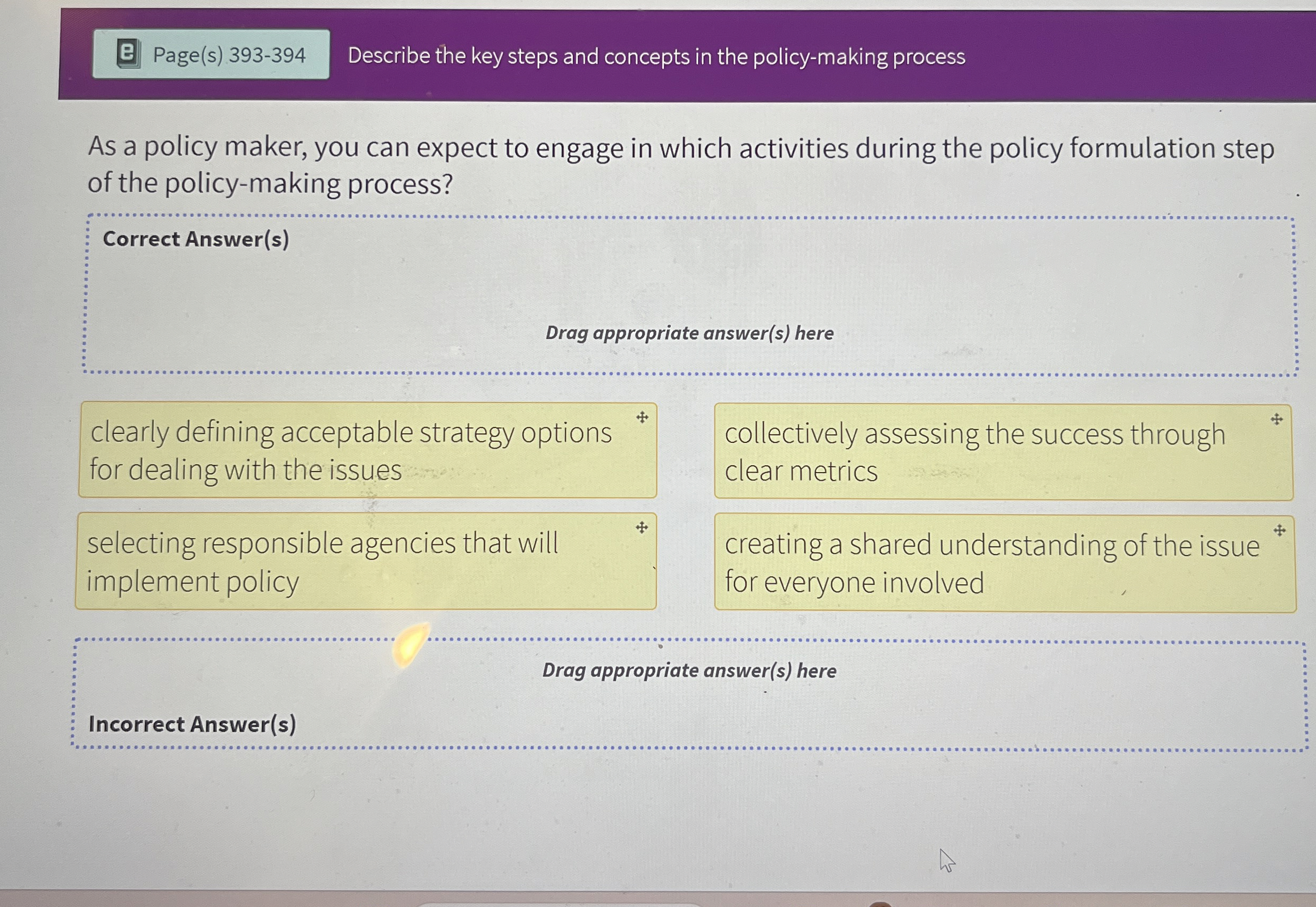  Page(s)393-394 Describe the key steps and concepts in the policy-making process