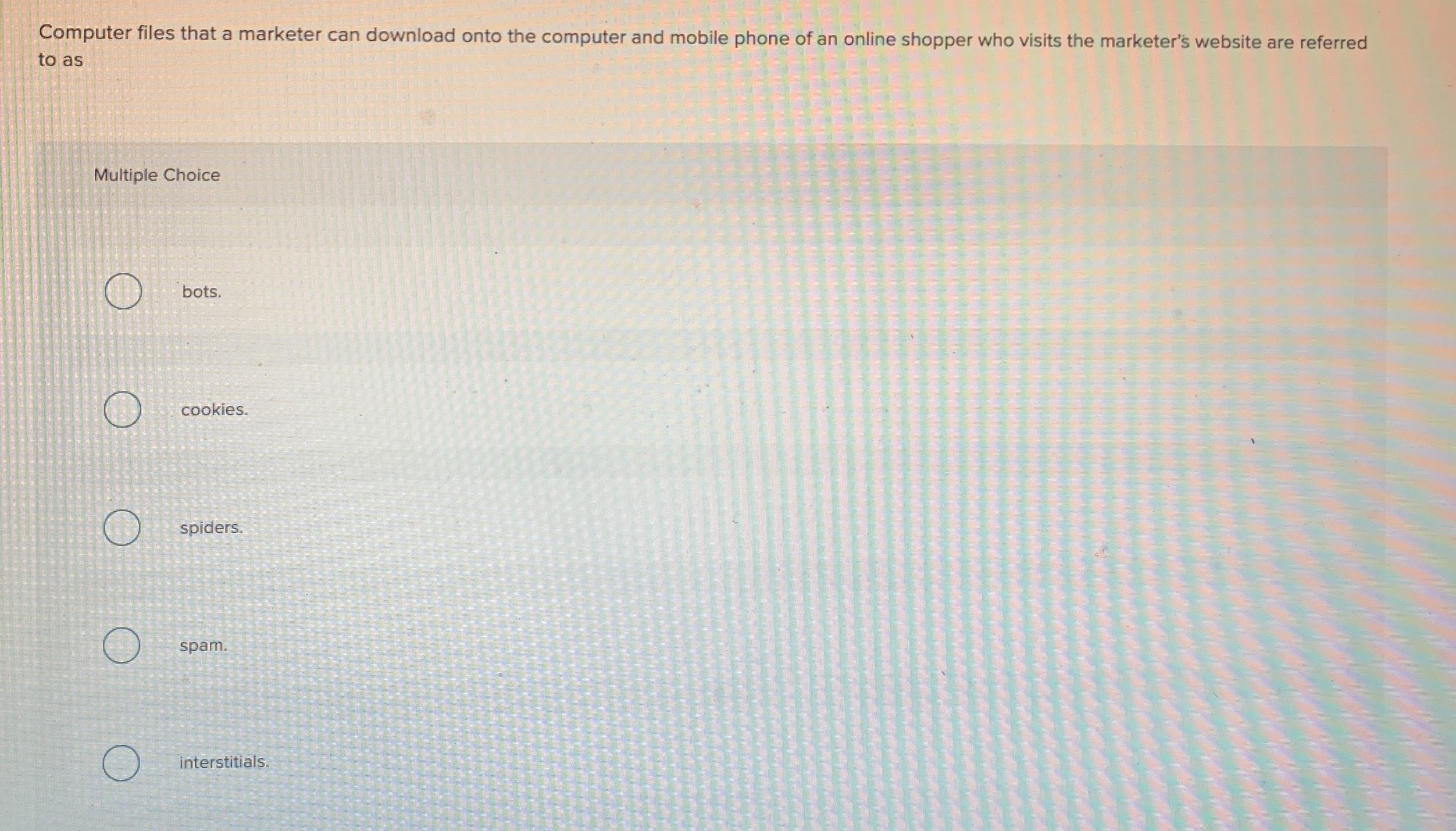  Computer files that a marketer can download onto the computer and