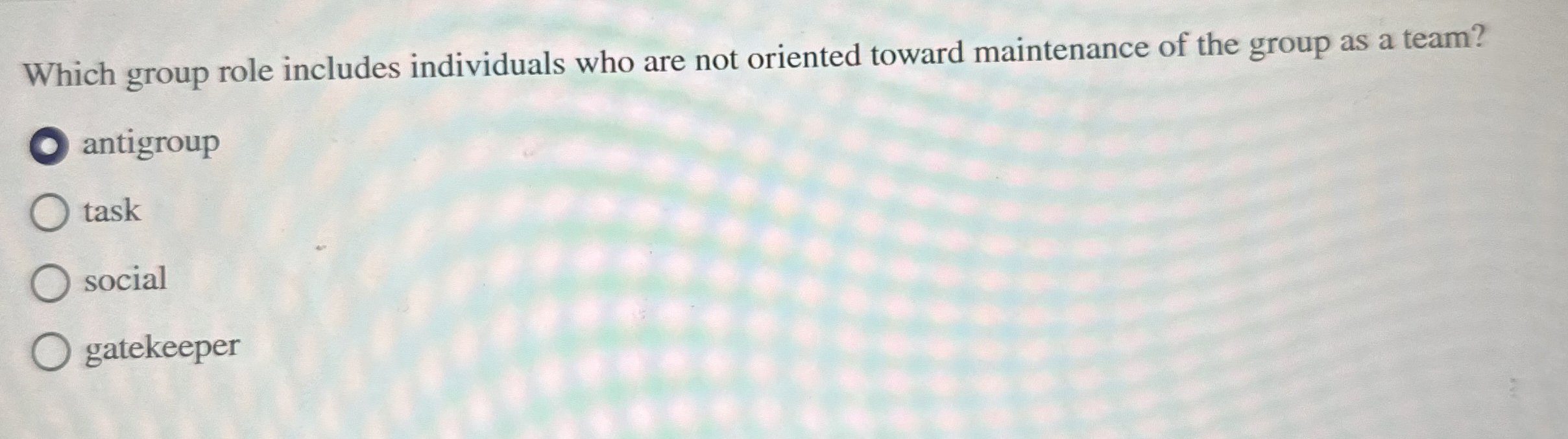  Which group role includes individuals who are not oriented toward maintenance