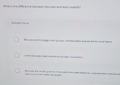  What is the difference between bonuses and team awards? Murtiple Chaice
