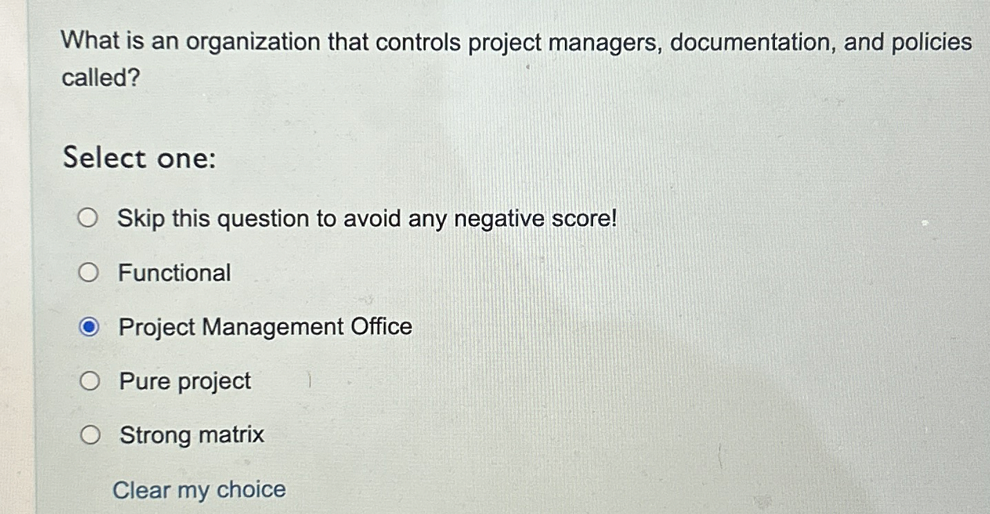  What is an organization that controls project managers, documentation, and policies
