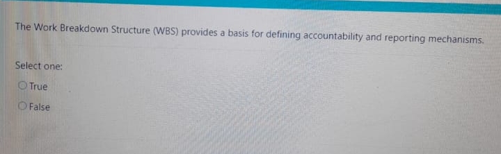  The Work Breakdown Structure (WBS) provides a basis for defining accountability