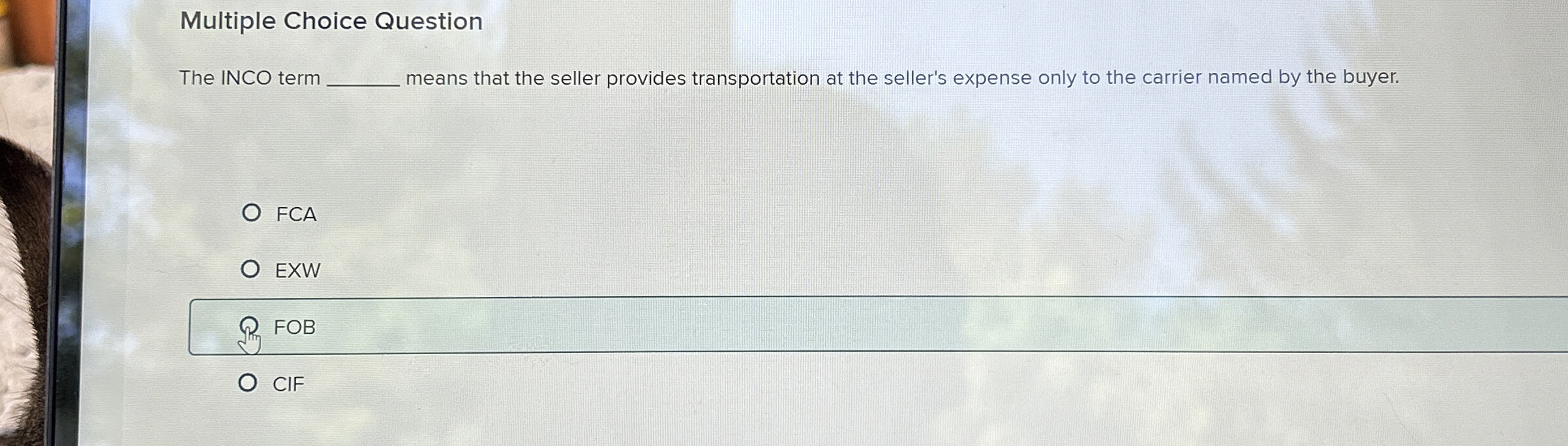 image text in transcribed