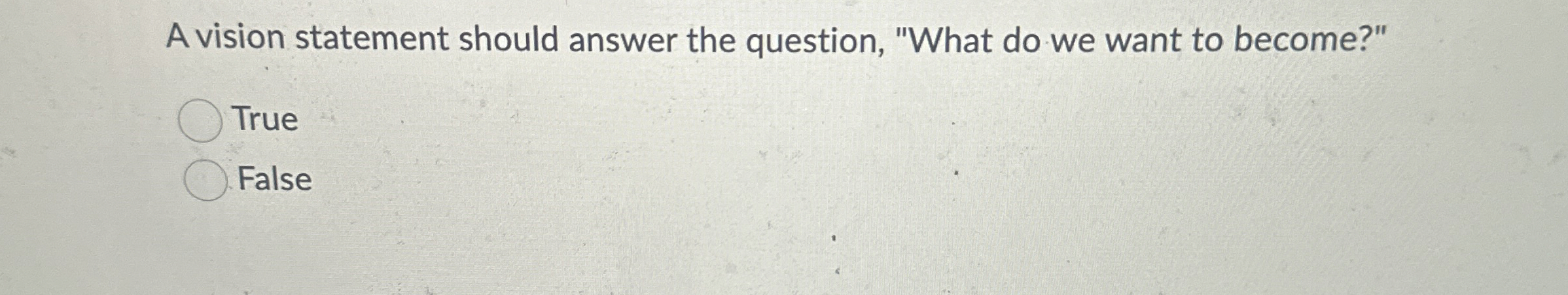  A vision statement should answer the question, "What do we want