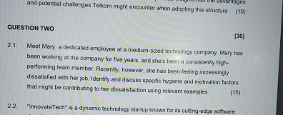  and potential challenges Teloom might encounter when adopting this structure QUESTION