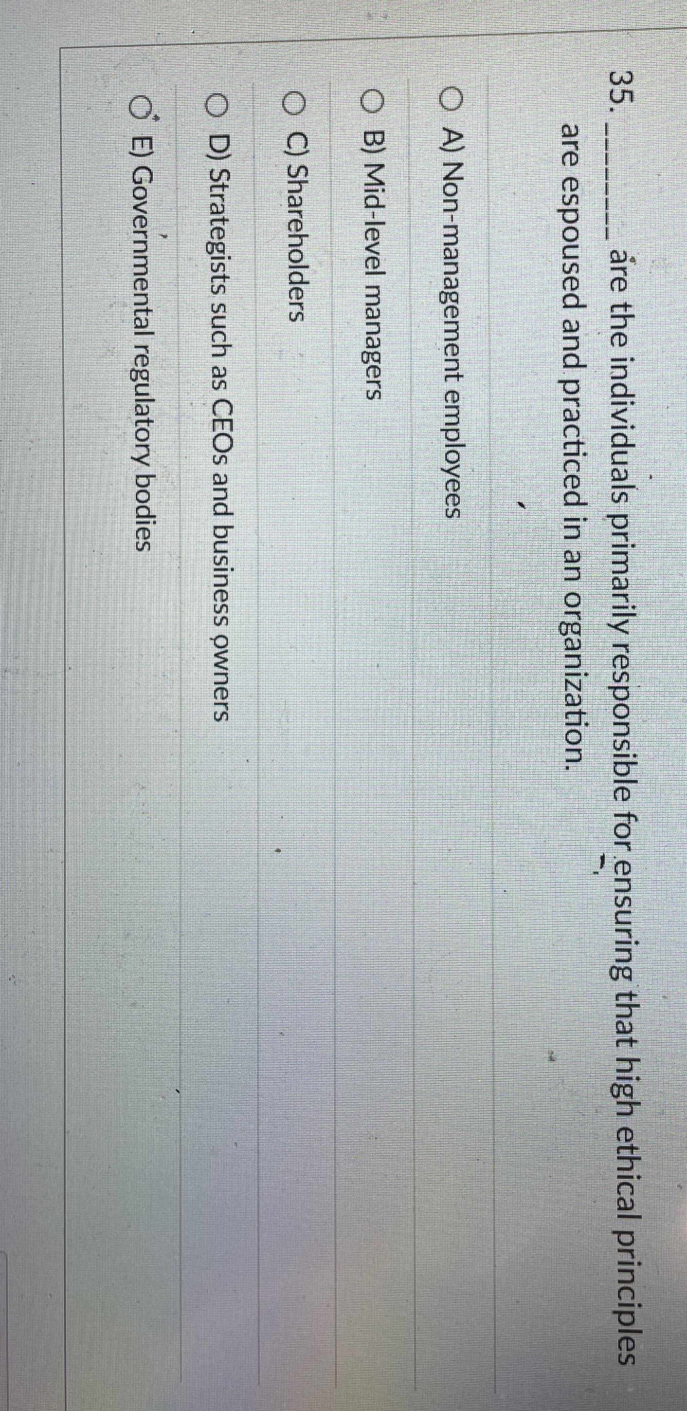  q,re the individuals primarily responsible for ensuring that high ethical principles