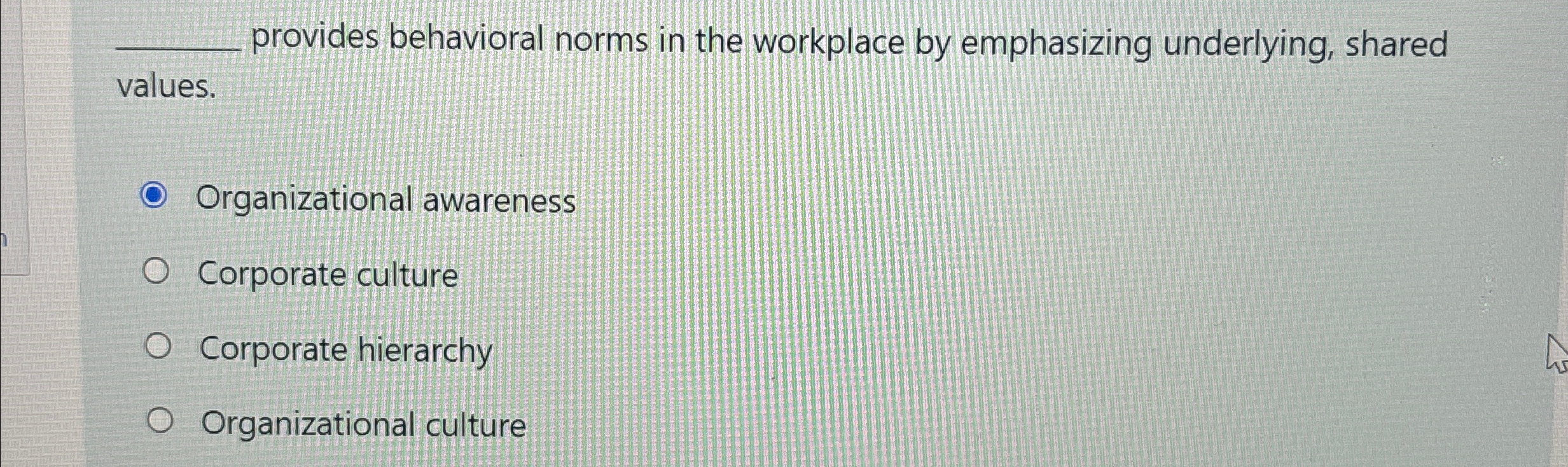  provides behavioral norms in the workplace by emphasizing underlying, shared values.