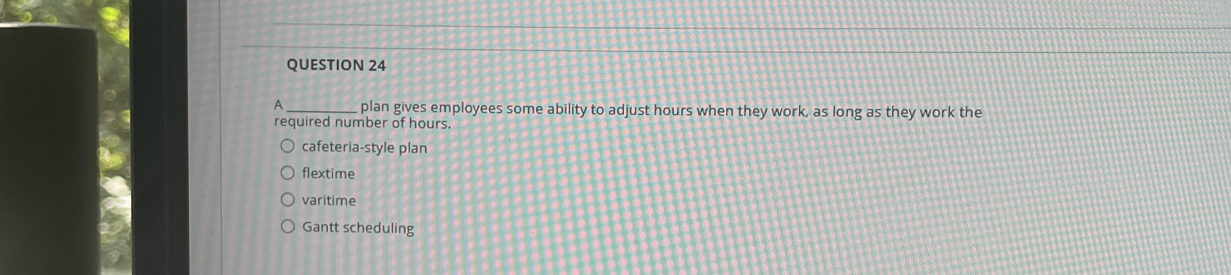  QUESTION 24 A plan gives employees some ability to adjust hours