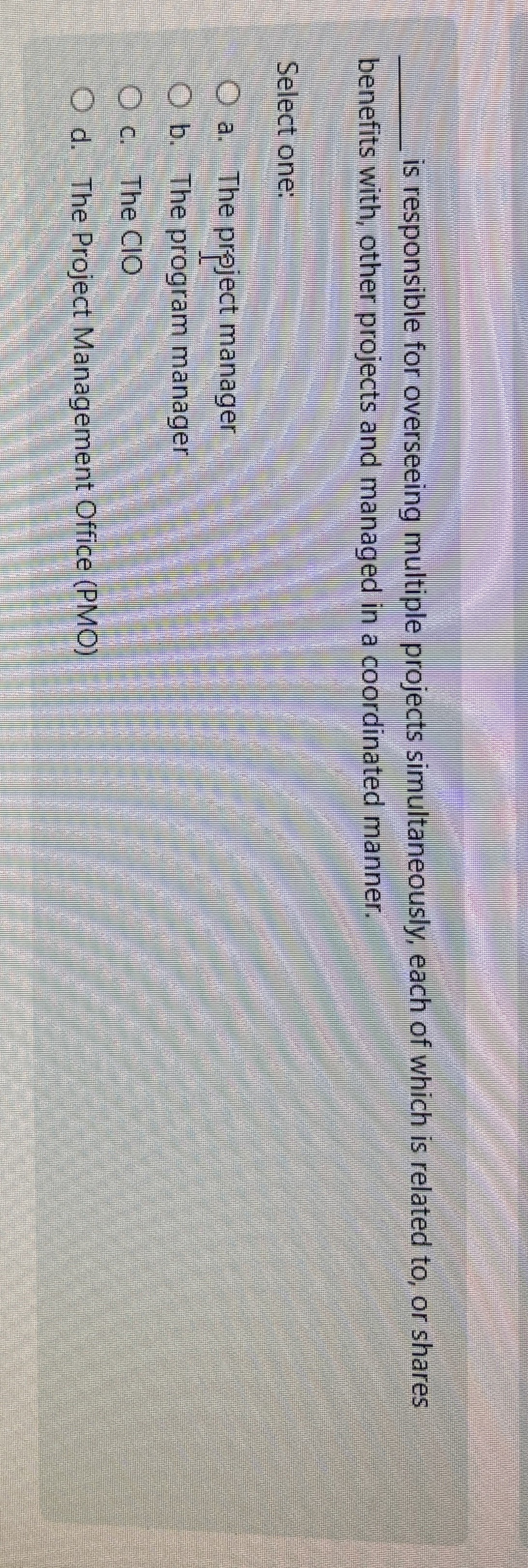  q, is responsible for overseeing multiple projects simultaneously, each of which