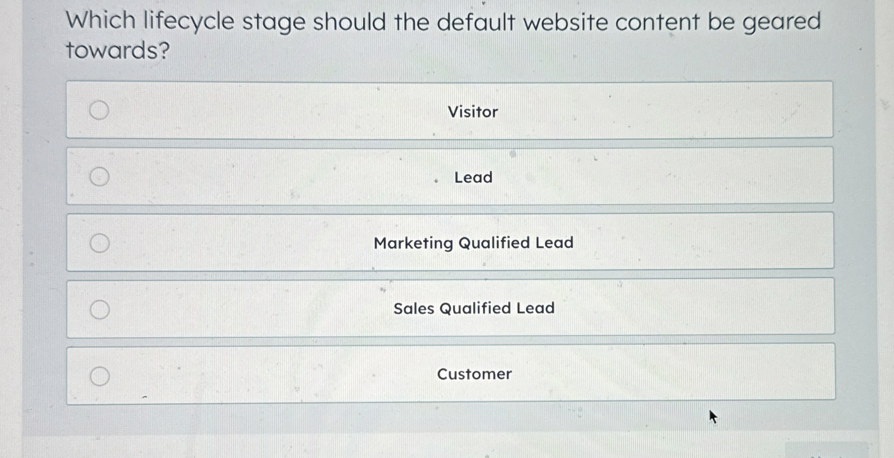  Which lifecycle stage should the default website content be geared towards?
