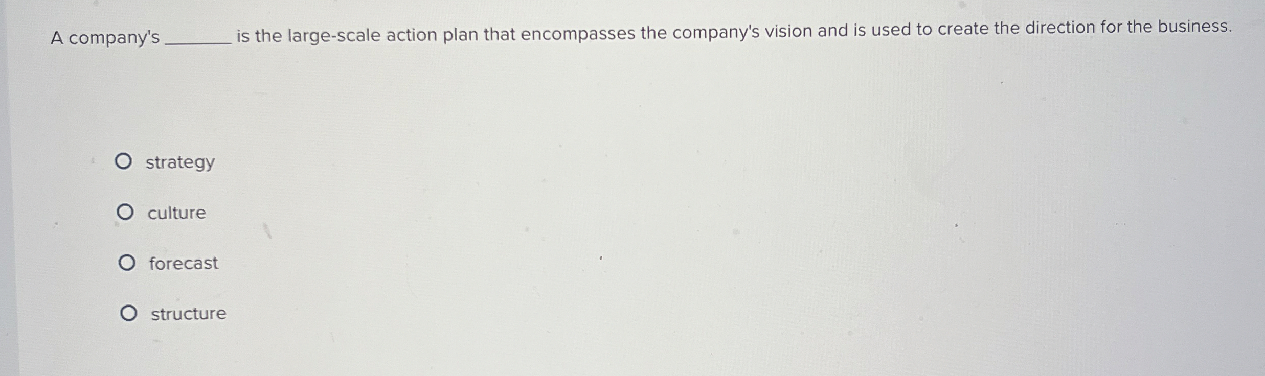  A compan's is the large-scale action plan that encompasses the company's