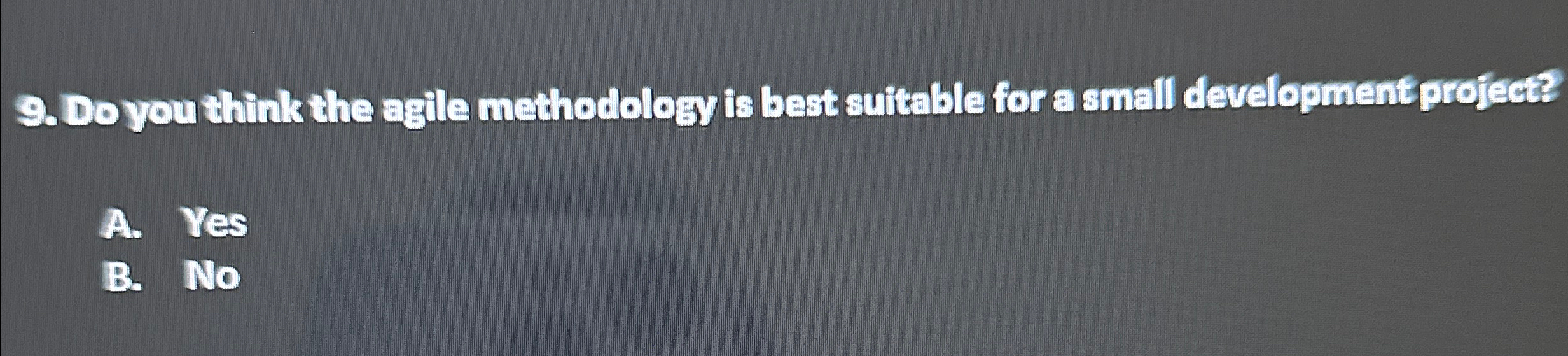  Do you think the agile methodology is best suitable for a