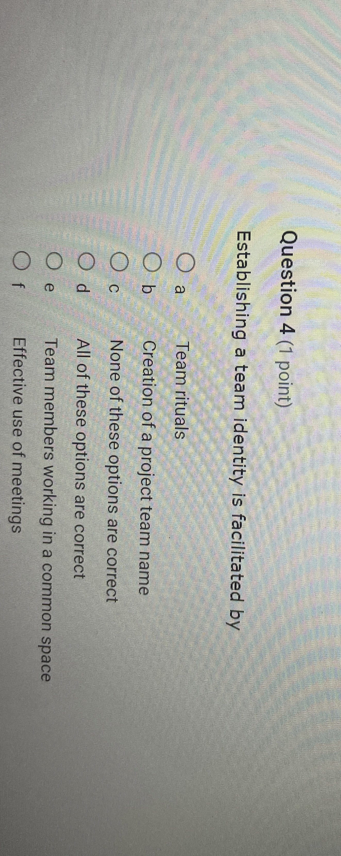  Question 4(1 point) Establishing a team identity is facilitated by a