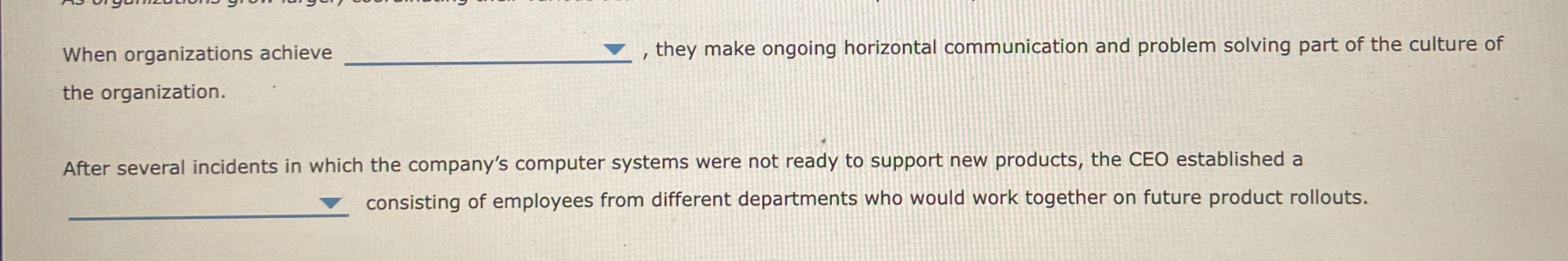  When organizations achieve they make ongoing horizontal communication and problem solving